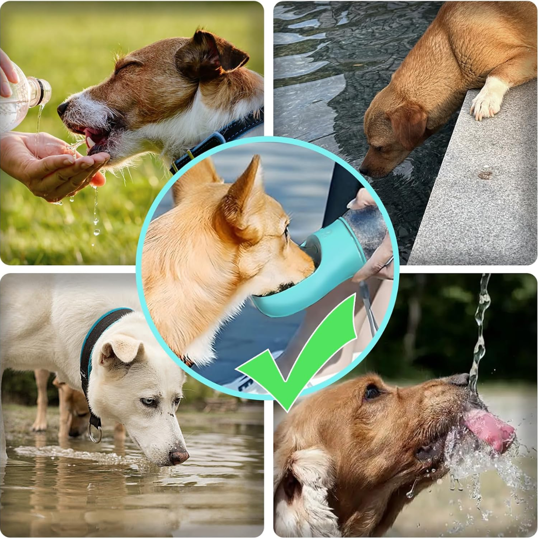Portable Pet Water & Food Bottle